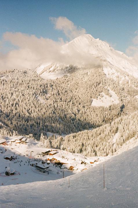 portrait or landscape? Olympus om-2n Zuiko 50mm Kodak gold 200