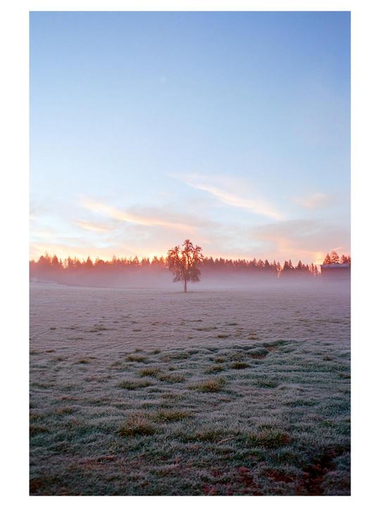 Ektar sunrise. Nikon F6 | Ektar 100