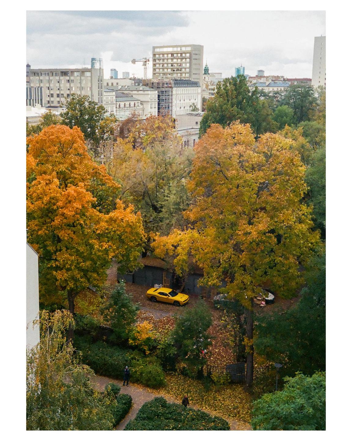 image 35882 by Trylemat