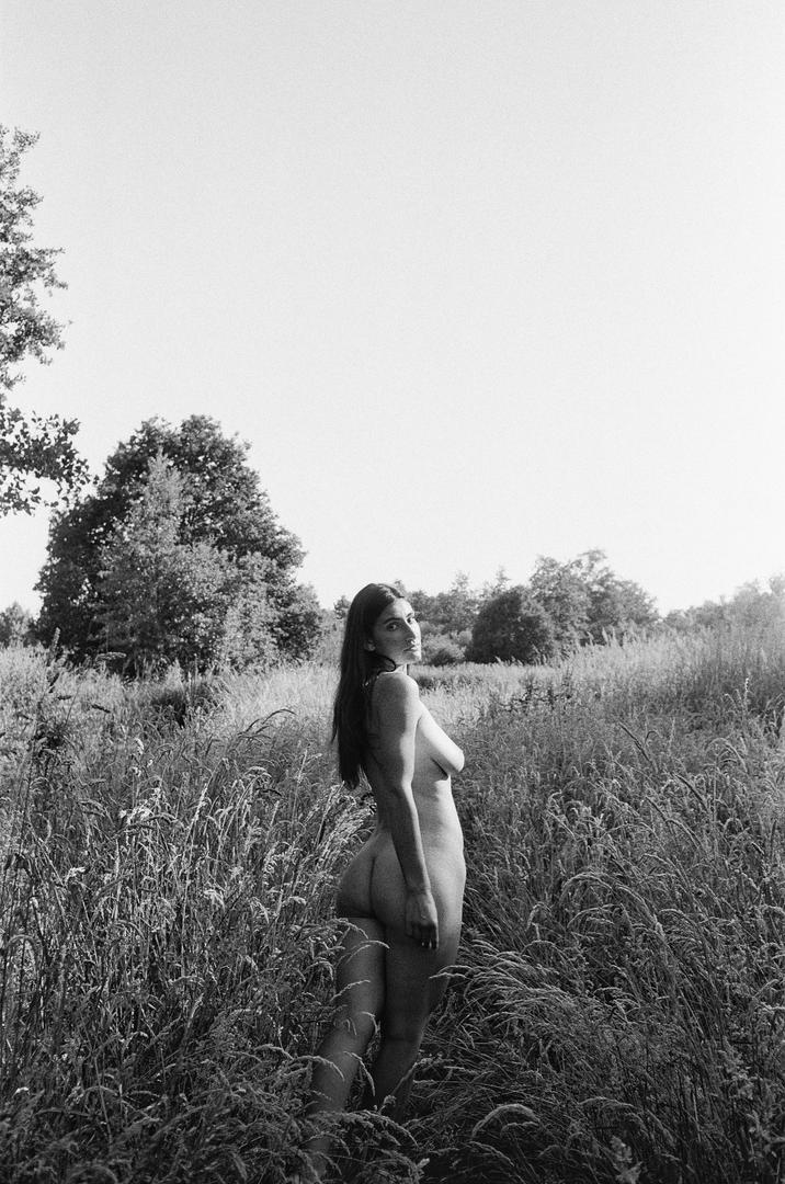 image 17387 by nathandoeswijk