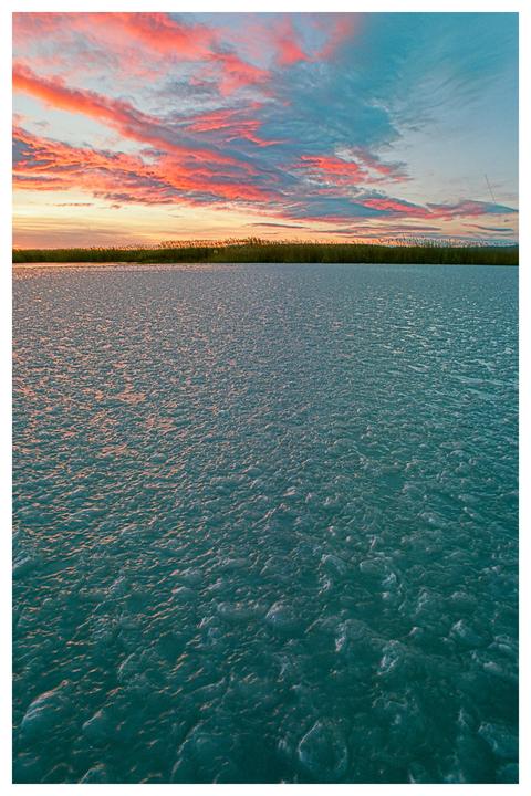 Frozen lake. Any idea what can cause such ice bumps on a large lake? [Nikon F100, Ektar 100]