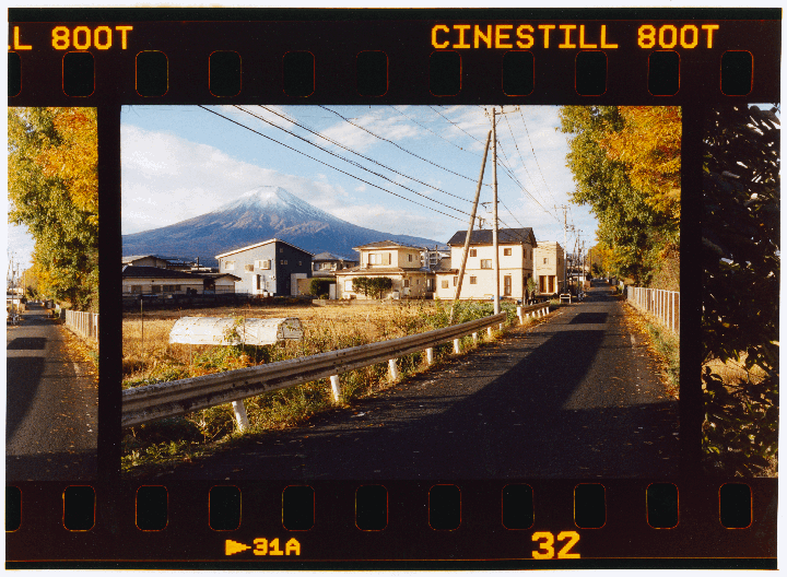 A recent Darkroom Print [Leica M2, Voigtländer 50mm f/2.2, CineStill 800T]