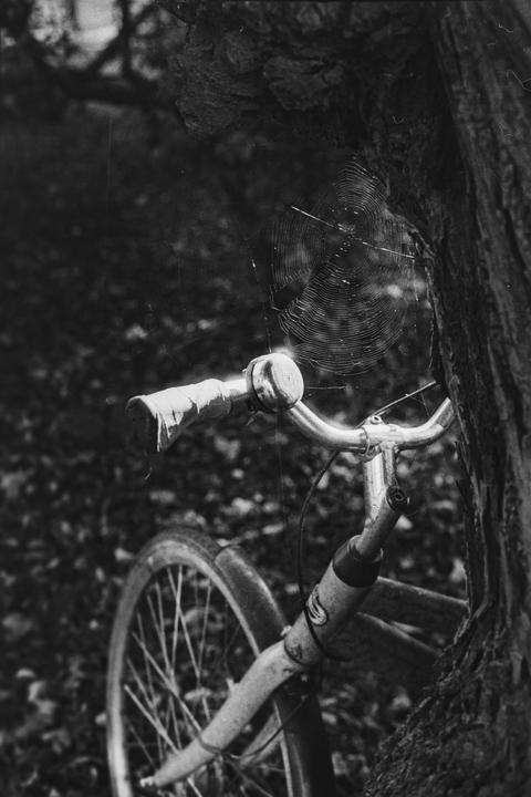 Forgotten - Cosina CT-7 - Chinon 50mm f1.7 - Fomapan 200 - Caffenol-C-M(RS)