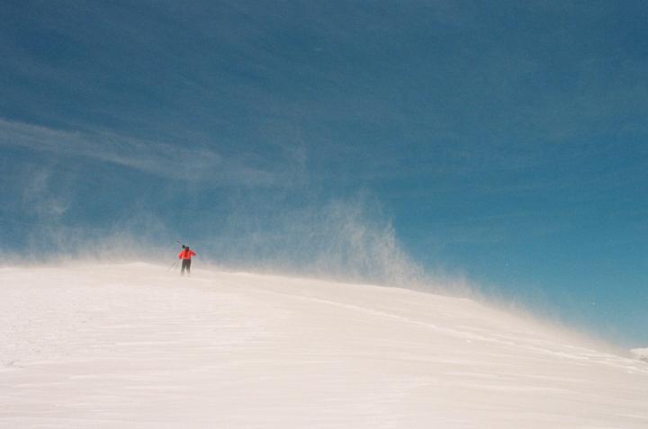 Some favorites from my first roll of film | Fuji 400