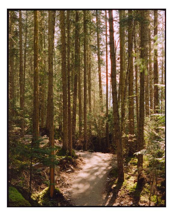 Berg Lake Trail / Pentax 67 + Cinestill 400D