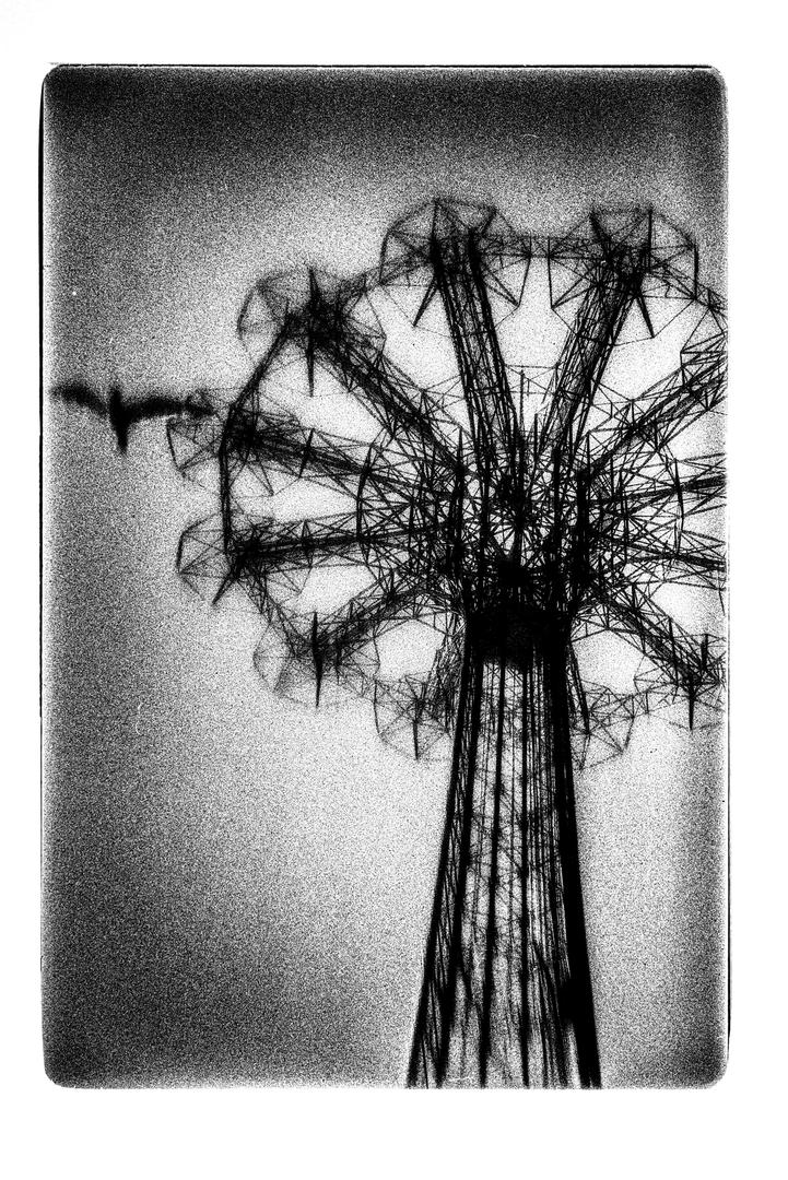 image 34722 by French_Etchings