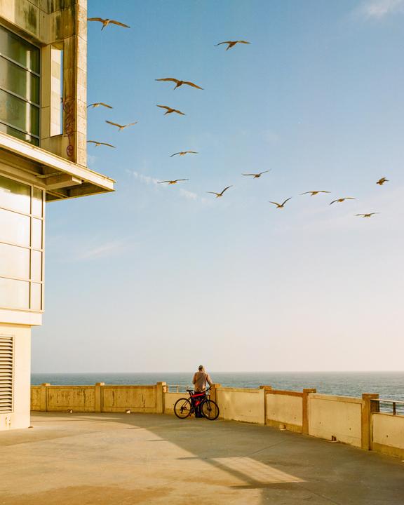 For the birds, Mamiya 7+65mm f4, Portra800/400