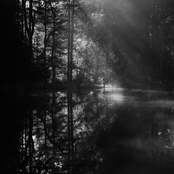Sunlight streams through trees onto a misty lake, with reflections visible in the water.