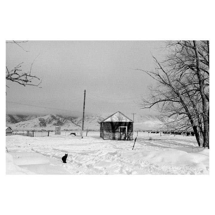 Leica M7, 35mm Summicron & FP4