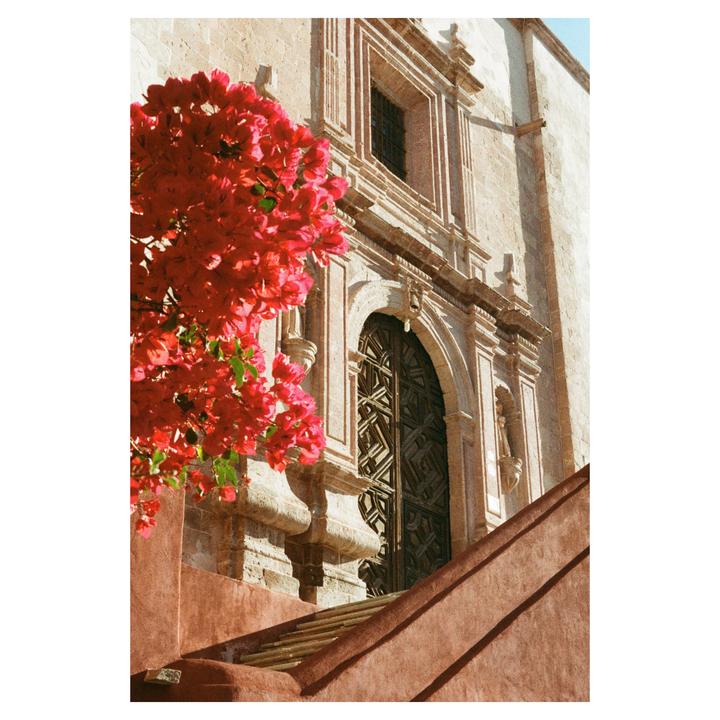 Guanajuato, México - Olympus PenFT - Zuiko 38mm - Kodak Gold 200
