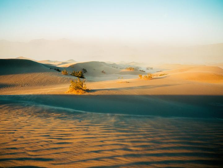Wind blows across sand dunes with small bushes under a hazy sky.