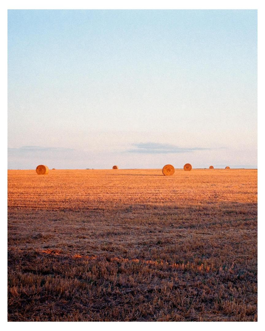 image 36185 by Marazbrna