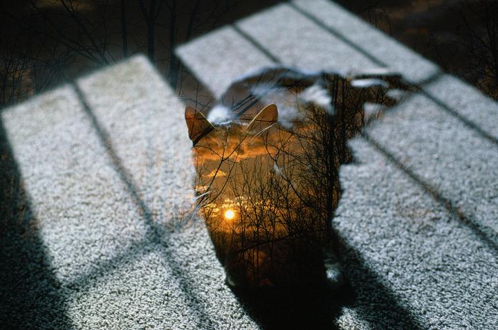 I think I'll just let the mystery be: In-camera double exposure/Nikon N50 w Fujichrome Velvia 50
