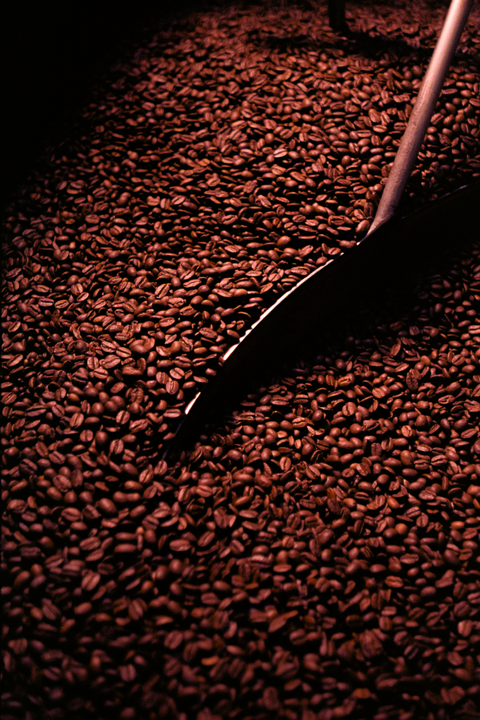 Coffee // Ektar 100 // Spotmatic // Robotar 35mm 2.8