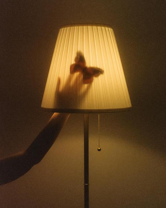 Metamorphosis. [Cinestill 800 | Contax RTS | Zeiss 50mm]