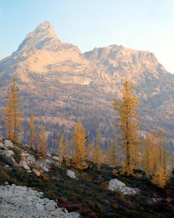 Fall in the North Cascades [Intrepid 4x5, 135 5.6, Ektar 100]