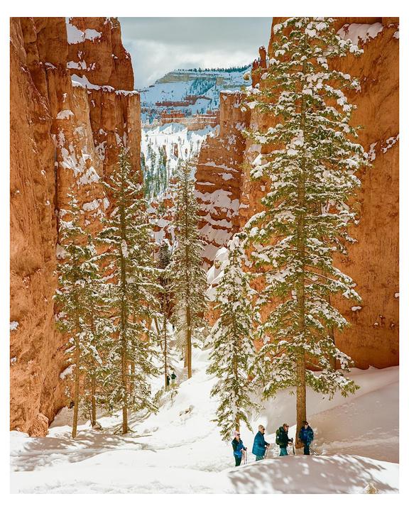 Bryce Canyon [Fujifilm GW670III, fixed 90mm, Kodak Portra 160]