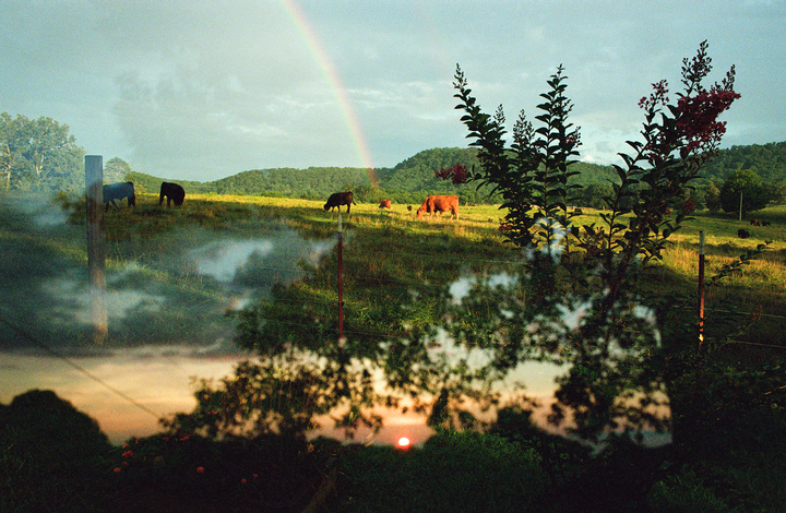 late summer in appalachia / canon ef & portra 800