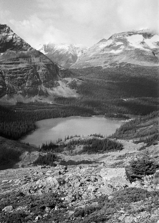 A mountain lake is surrounded by a dense forest and rocky slopes, with snow-capped peaks in the background.