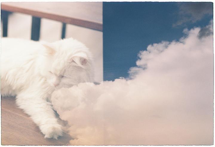 Accidental double exposure [Nikon F2, Nikkor 50mm f1.4 AI, Fuji 200]