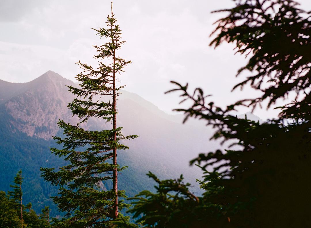 image 35335 by mikhailiuk