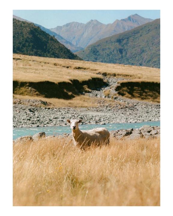 Mount Aspiring, New Zealand | Nikon FE | Nikkor 105mm f/2.5 AI-S | Portra 400