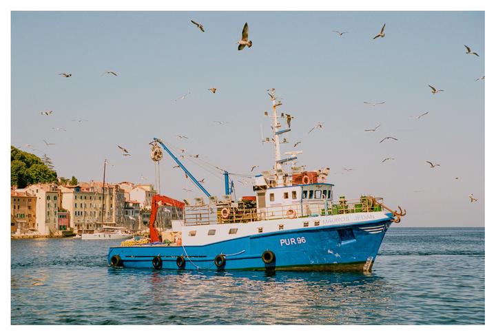 Fishing Boat [Nikon F100, Portra 400]