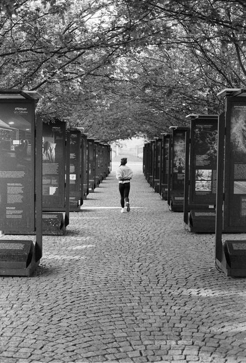 Ilford P3 expired 2010