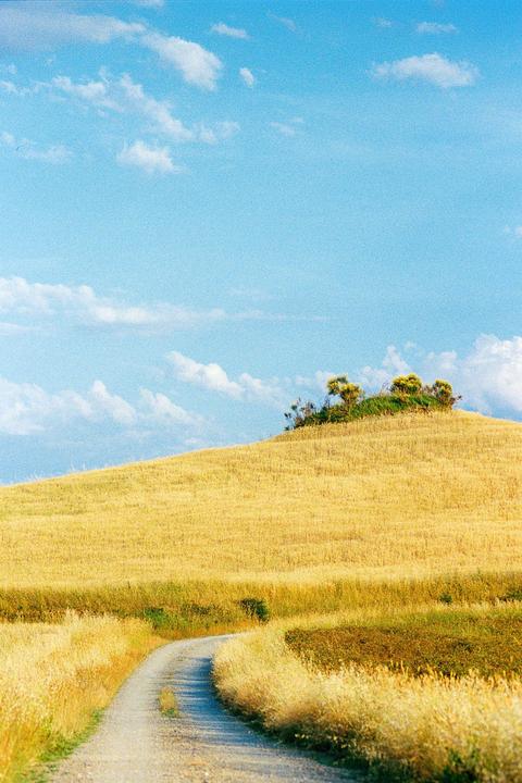Some goodies from the last roll, which do you like best and why? (canon ae1, helios 44-2, fuji 400)