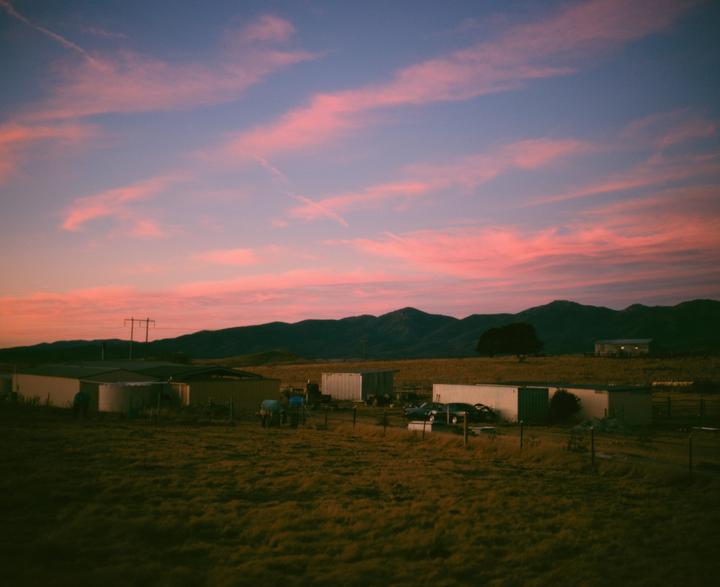 Pink Skies in Winter [Mamiya 7, 80mm + Dream FX Filter, Kodak Ektar 100]