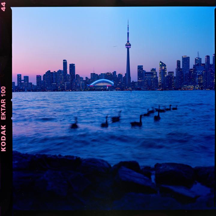 Hasselblad 501cm | Kodak Ektar 100