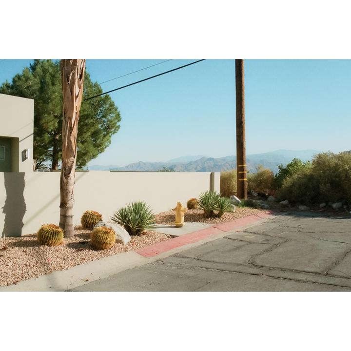 Palm Springs | AE-1 | 35mm f2.8 | Portra 400