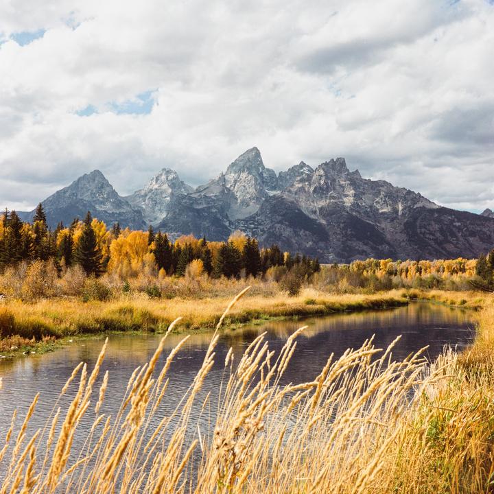 Autumn at Grand Teton National Park | Mamiya 6 | Portra 800