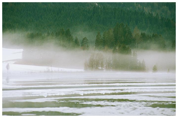 Foggy morning by a frozen lake [Nikon F100, Portra 160]
