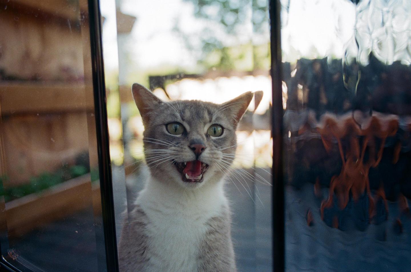 image 35917 by Silly_Candle9914