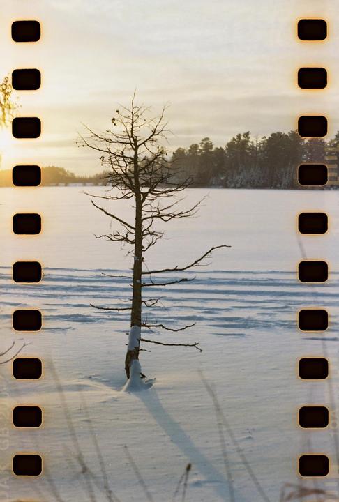 Sprocket shots in northern Minnesota (Yashica-D/Kodak Gold 200)