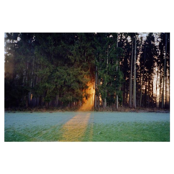 Light | Leica M6 | Portra 400