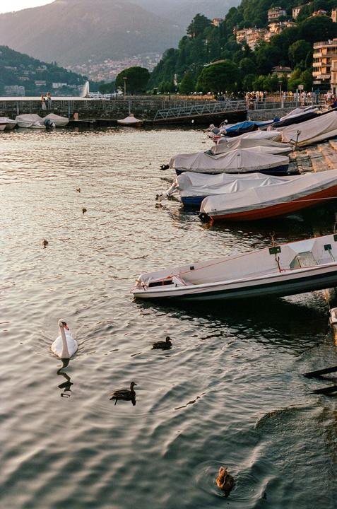 Afternoons on Como - Rebel Ti, 50mm f/1.8, Portra 400