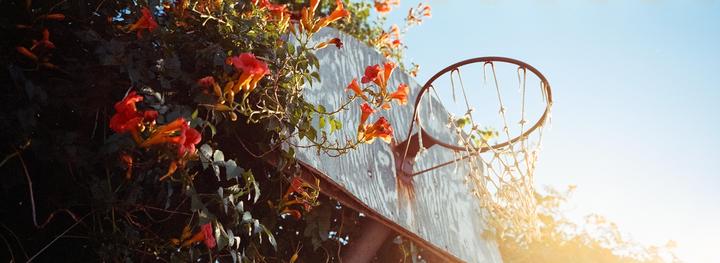 Do you ever pass up shots because you're afraid of them being "cliche"? I certainly didn't with this basketball hoop. Hasselblad Xpan on Portra 400 - 45mm f/4 - Self Dev/Scan