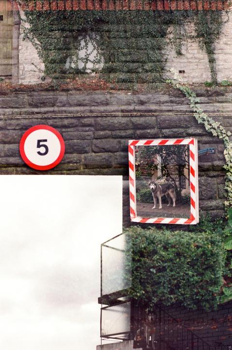 Accident [Nikon FM2 + Fujifilm Press 400]
