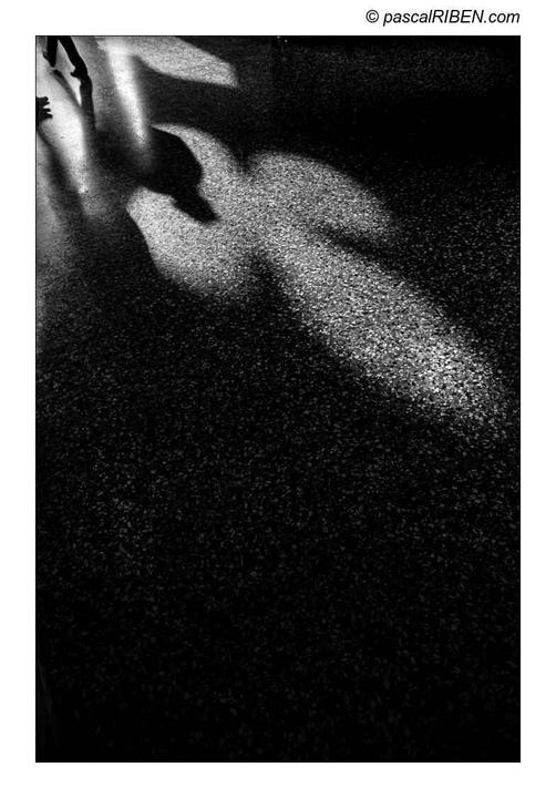 Shadows of people and a bird are cast on a textured ground with a bright beam of light.