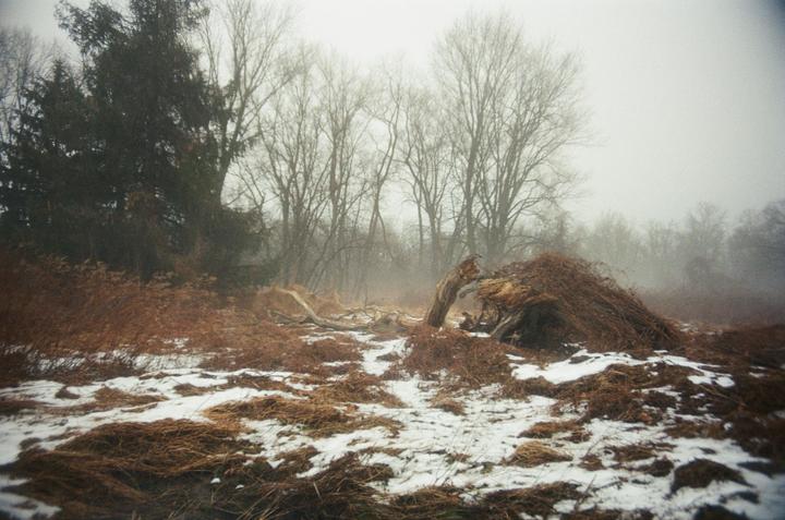 A field with patches of snow and dry grass is covered in fog, with trees in the background.