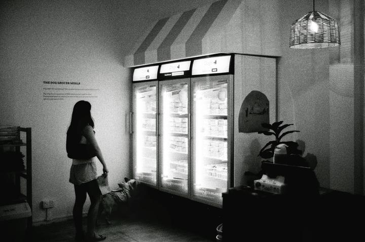 A woman and a dog stand in front of three brightly lit refrigerators in a store.