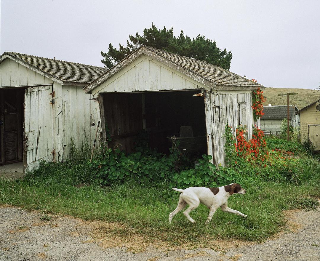 image 35462 by ssnreddit