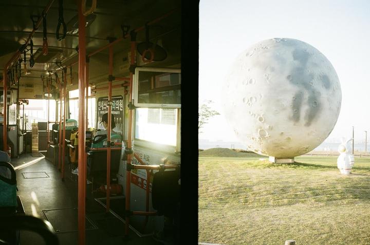 my first ever film roll. shot in half-frame format. thoughts and advice welcomed. | olympus pen EE3 - kodak gold (200)