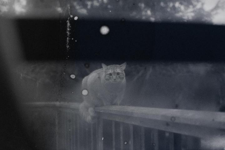 Found a bulk loader that had a mystery roll inside. These are the results from my test roll