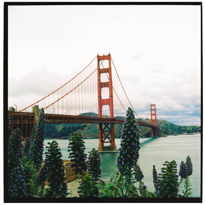 Golden Gate | Yashica D | Kodak Portra 400
