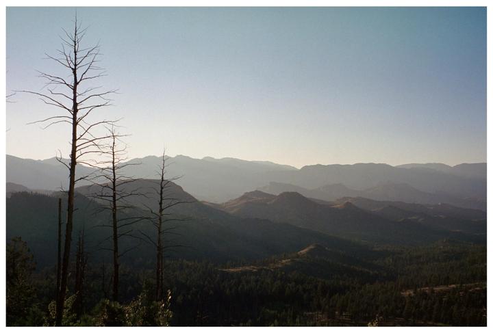 Three tall, bare trees stand in the foreground of a vast mountain landscape under a clear sky.