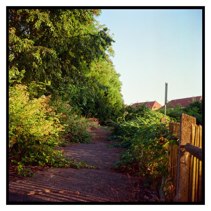 first roll of Ektar [Yashica mat 124, Kodak Ektar 100]