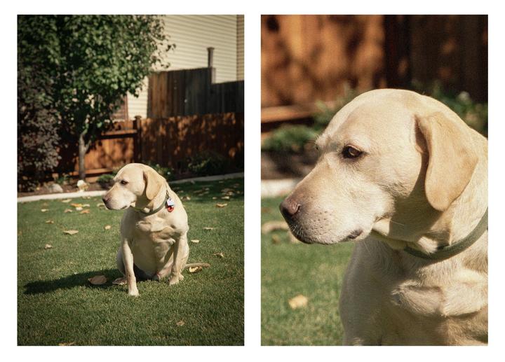 I got this scan of a 25 year old negative and I’m stunned how much detail 35mm film can have (right picture was pulled out of the left).